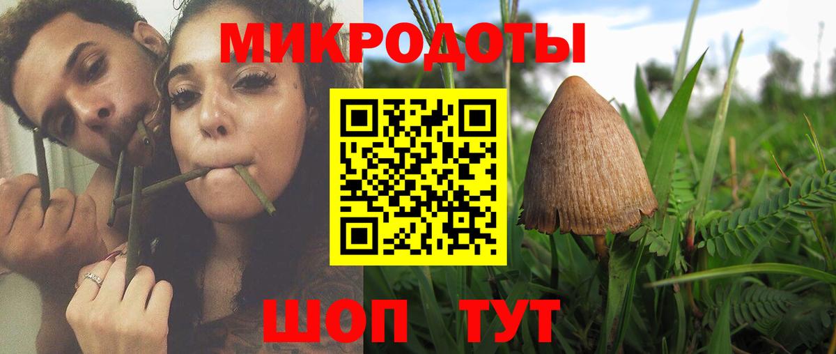 Псилоцибиновые грибы мицелий Кыштым